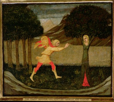 La metamorfosi di Dafne da Master of the Judgement of Paris
